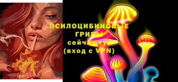 шишки Баксан