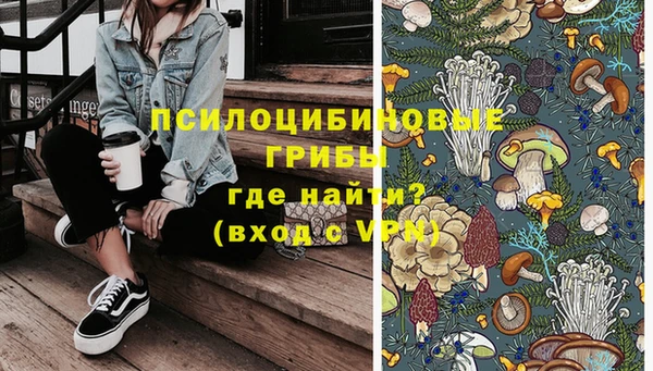 шишки Балахна