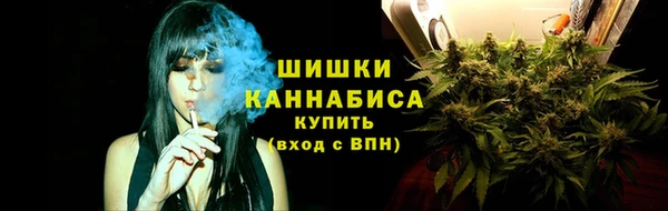 шишки Балахна