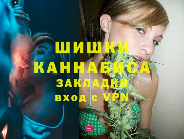 шишки Баксан