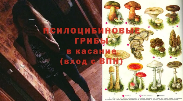стафф Зеленодольск