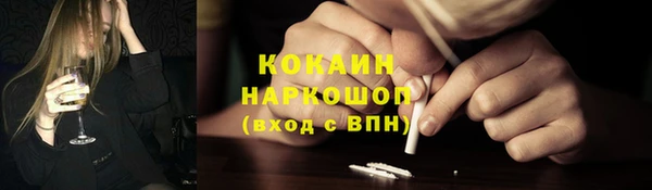 шишки Балахна