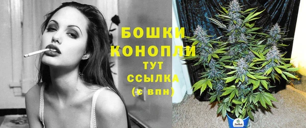 шишки Балахна