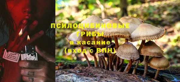 шишки Баксан
