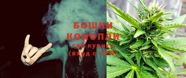 шишки Баксан